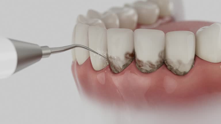 Reliable Dental contractor in Clintonville, WI by Dentist Open Now